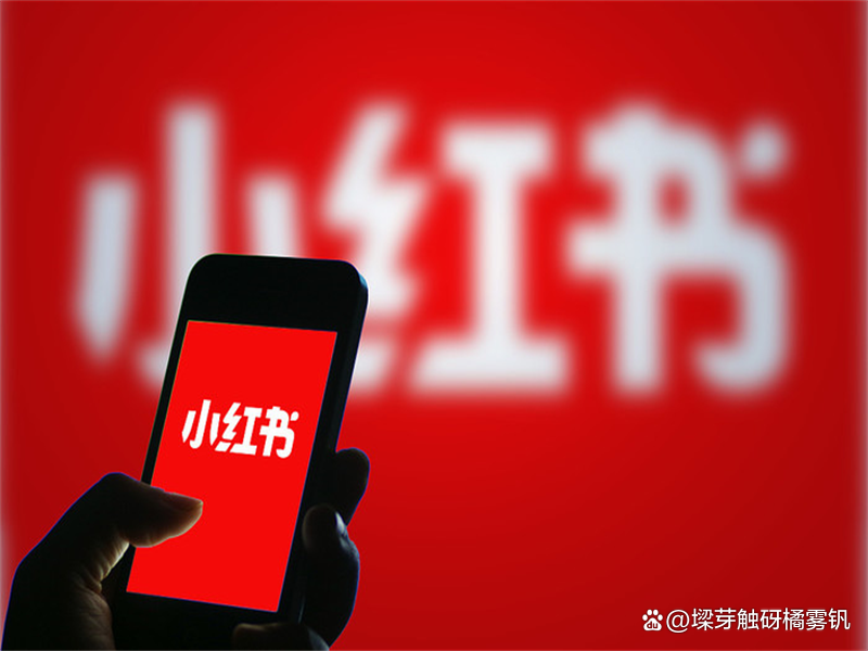 2025抖音算法新规